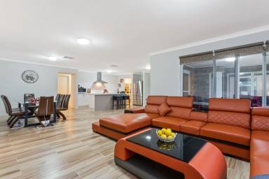 House Bulla