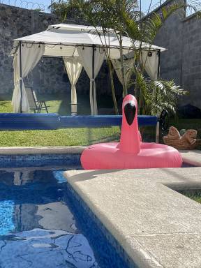 House Pool Quintana Roo