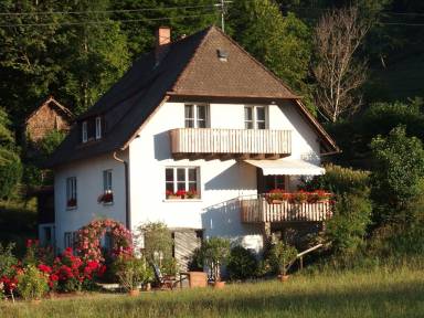 Ferienwohnung Internet Kirchzarten