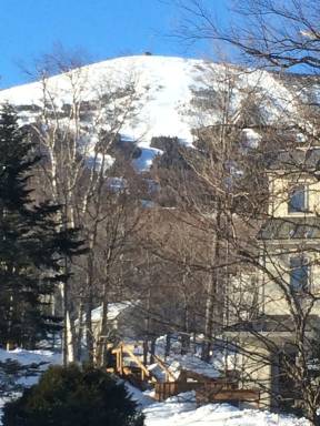Condo Wyman