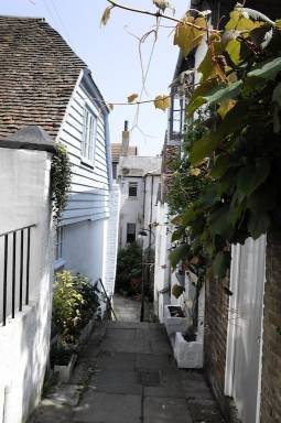 Cottage Hastings District