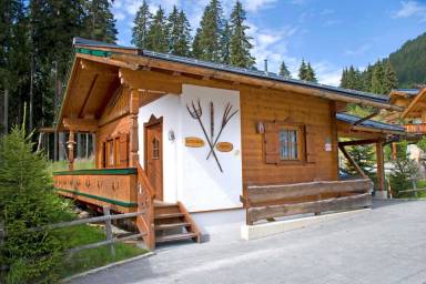 Ferienhaus Wald im Pinzgau