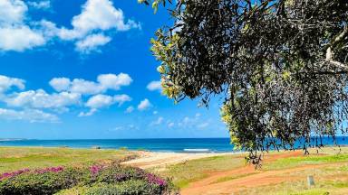 House Maunaloa