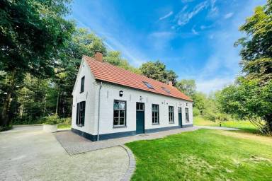 House Helmond