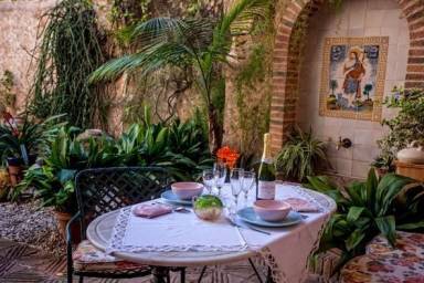 Casa Mascotas Nulles