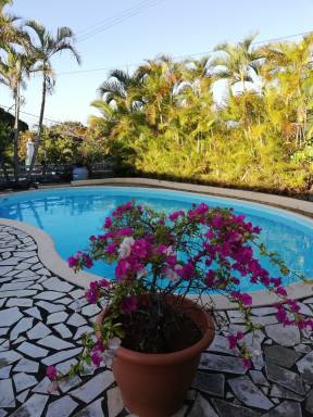 Appartement Salazie