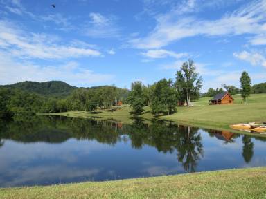 Cabin Nellysford