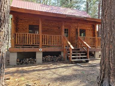 Cabin Alpine