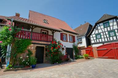 Ferienhaus Internet Neustadt an der Weinstraße