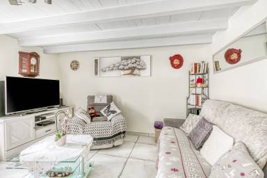 House Dax