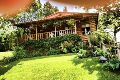 Cabin Los Naranjos