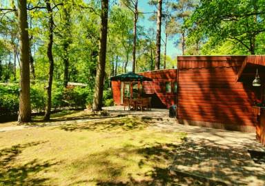 Chalet Tuin Doornspijk