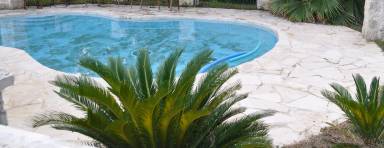House Pool McQueeney