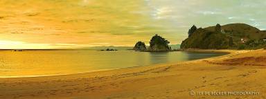 House Riwaka