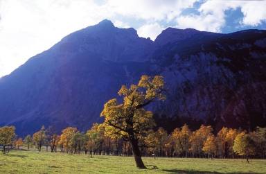 Ferienwohnung im Karwendel – Naturparadies in Tirol - HomeToGo