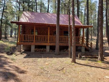 Cabin Alpine