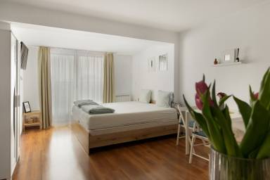 Apartment Dragalevtsi