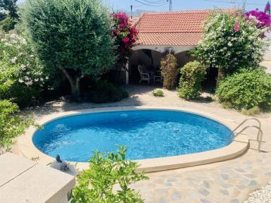 Villa Los Baños de Fortuna