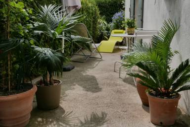 Cottage Arles