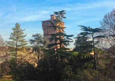 Appartamento Animali ammessi Montecchio Maggiore