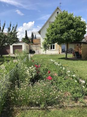Ferienhaus Haustier erlaubt Ailingen