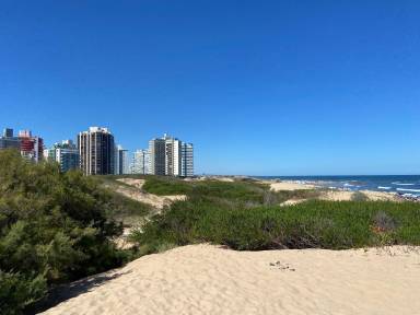 Appartamento Punta del Este