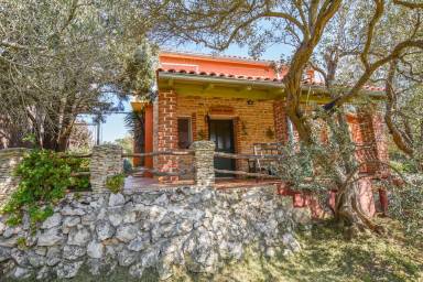 House Pet-friendly Dobropoljana
