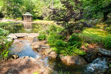 Cabin Lake Toxaway