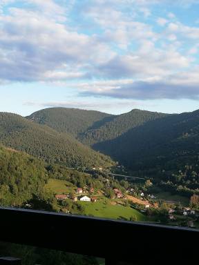 Appartement Bussang