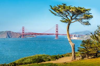 Ferienwohnung San Francisco