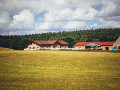 Ferienwohnung Wolgast