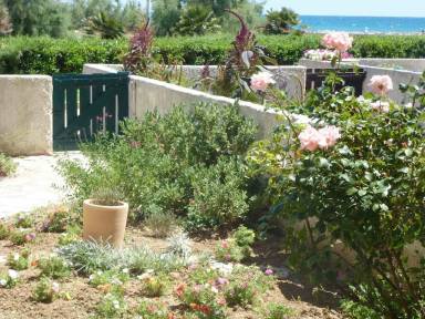 Appartement Terrasse / balcon Palavas-les-Flots