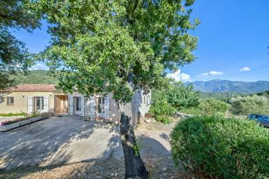 Appartement Sartène