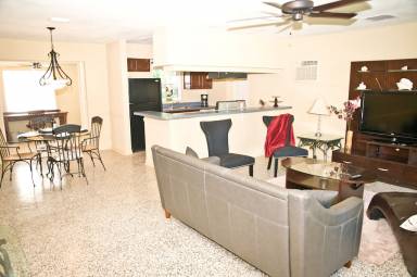 House Fern Park