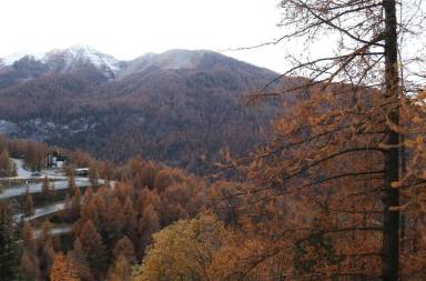 Appartement Les Orres