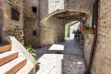 House Macerino