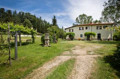 Casa Terranuova Bracciolini