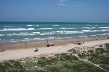 Pet Friendly Condos South Padre Island