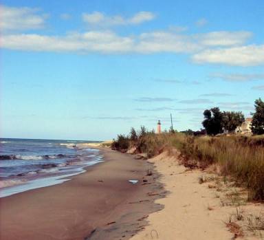 Cottage Shelby