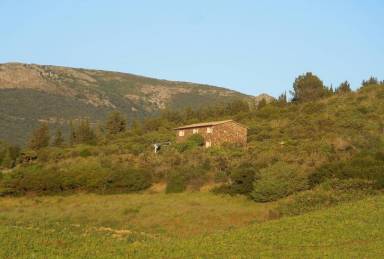 Cottage Dolianova