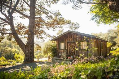 Cabin Internet San Luis Obispo