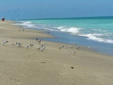 Condo Fort Pierce