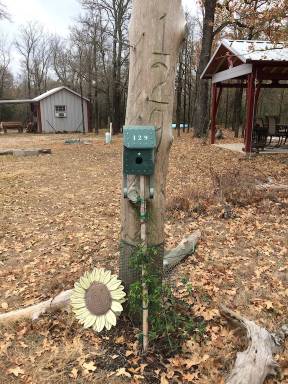 Cabin Whitney