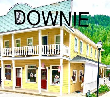 Apartment Downieville