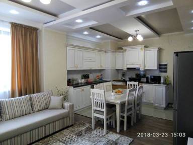 Apartment Kitchen Bishkek