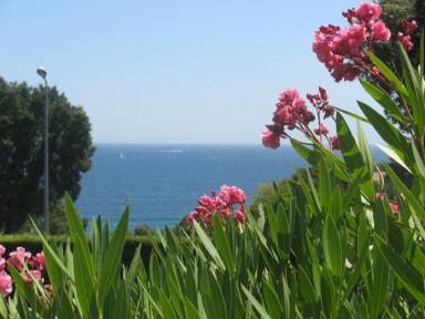 Appartement Cavalaire-sur-Mer