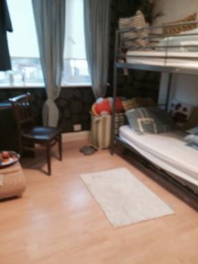 Private room Pet-friendly Leyton