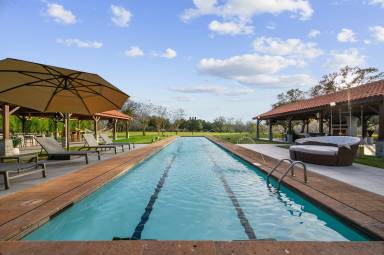 House Pet-friendly West Columbia