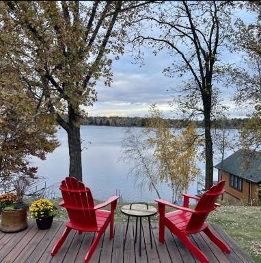 Cabin Lake Shore