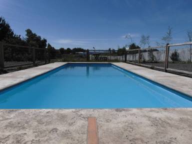 House Pool Chillán